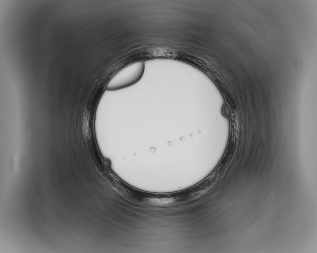 X0000115110266200911241333