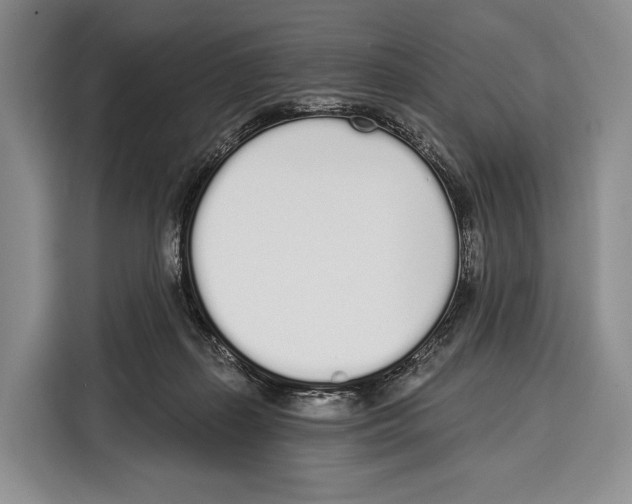 X0000115110267200911241333