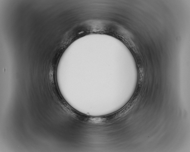 X0000115110269200911241333