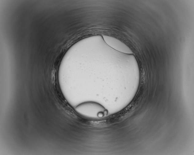 X0000115110271200911241333