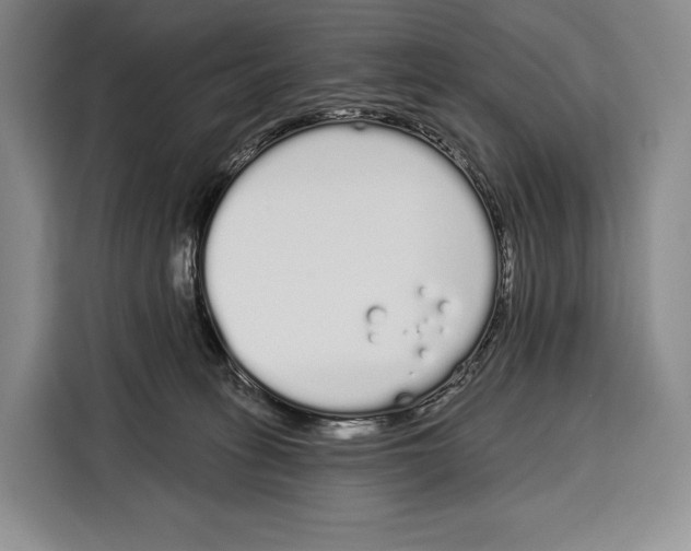 X0000115110275200911241333