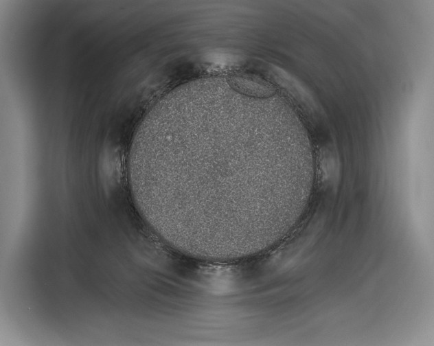 X0000115110276200911241333