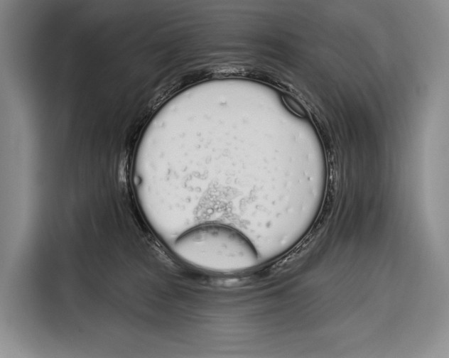 X0000115110277200911241333