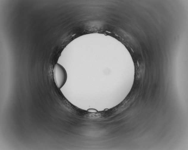 X0000115110279200911241333