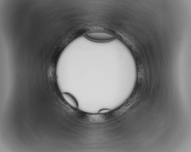 X0000115110281200911241333