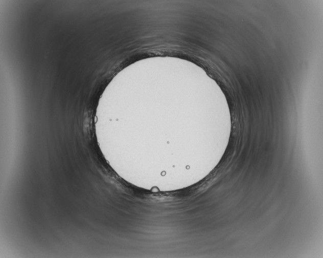 X0000115110284200911241333