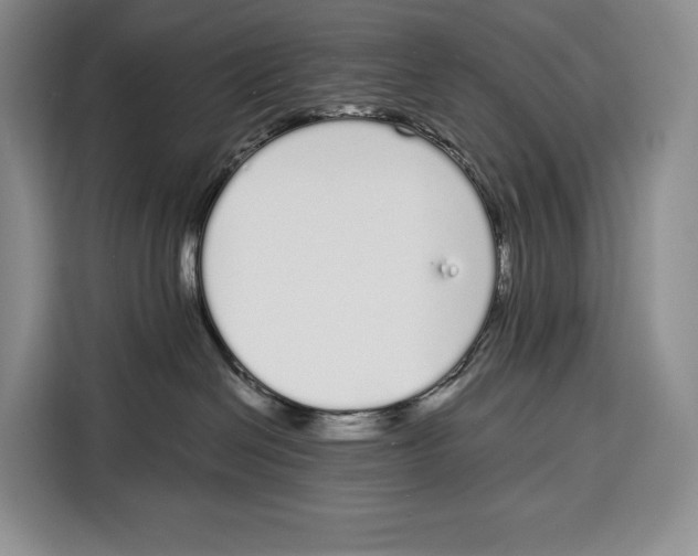 X0000115110286200911241333