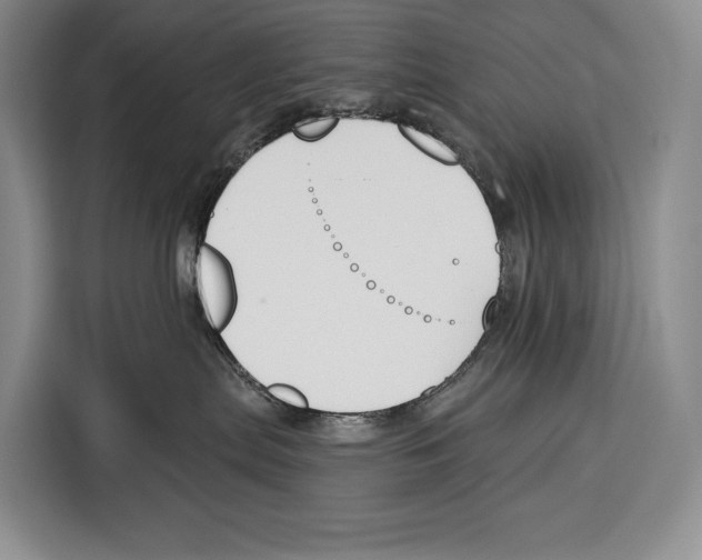 X0000115110287200911241333