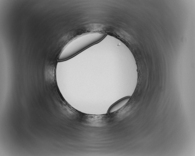 X0000115110288200911241333