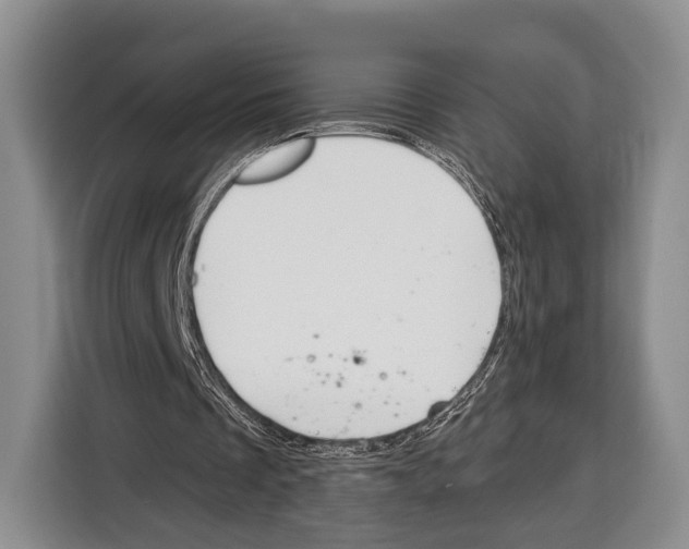 X0000115110289200911241333