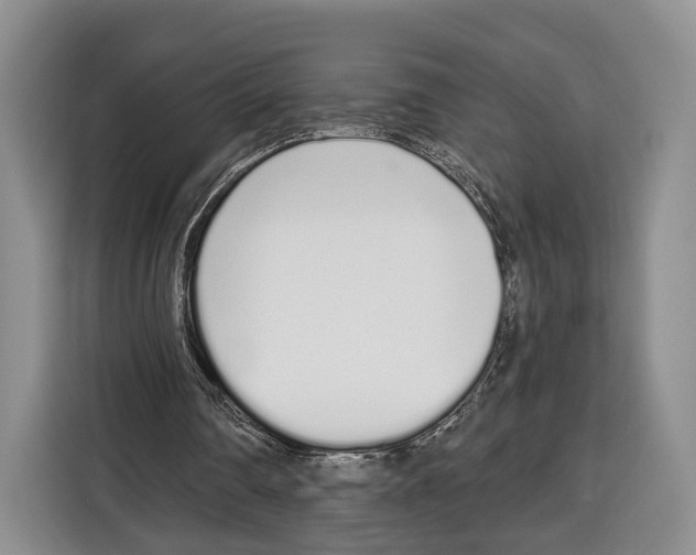 X0000115110290200911241333