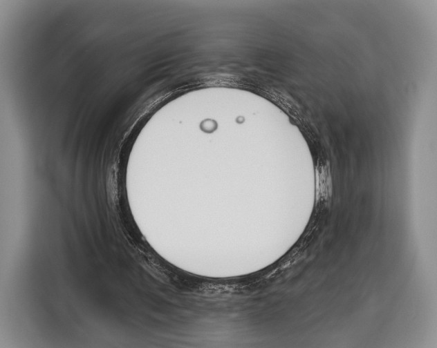 X0000115110291200911241333