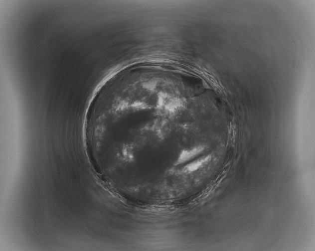 X0000115110292200911241333