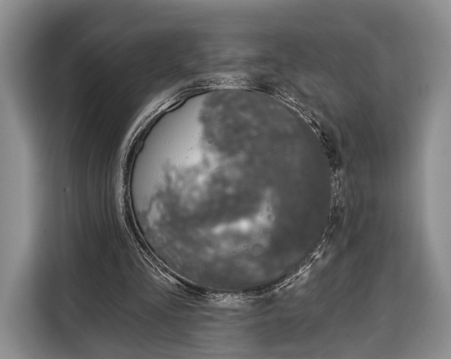 X0000115110293200911241333