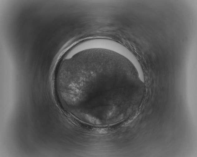 X0000115110295200911241333