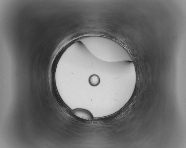 X0000115110296200911241333