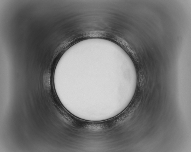 X0000115110299200911241332