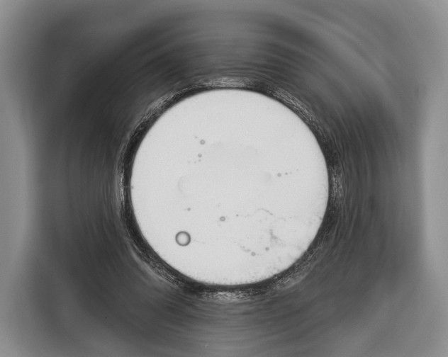 X0000115110302200911241332