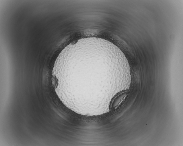 X0000115110308200911241332