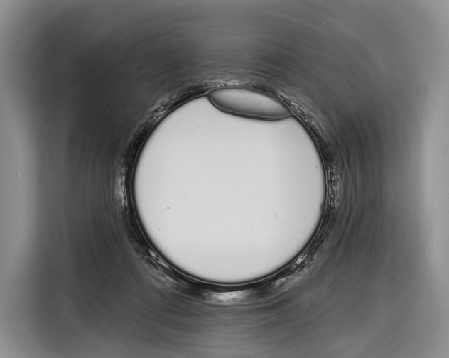 X0000115110312200911241332