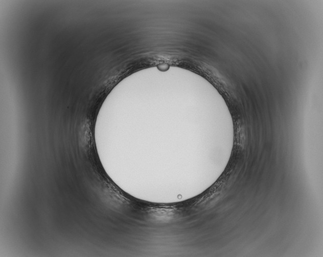 X0000115110318200911241332