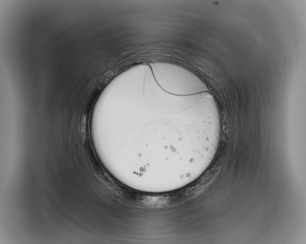 X0000115110319200911241332