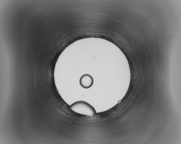 X0000115110320200911241332