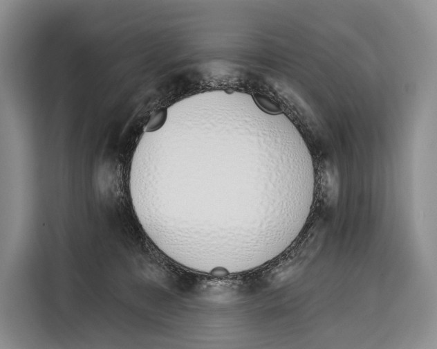 X0000115110323200911241332