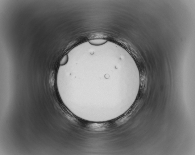 X0000115110326200911241332