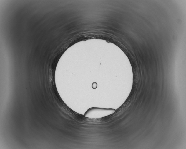 X0000115110328200911241332