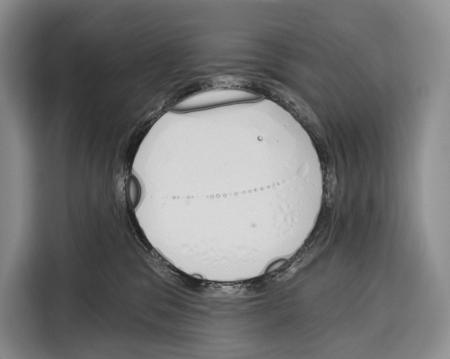 X0000115110329200911241332