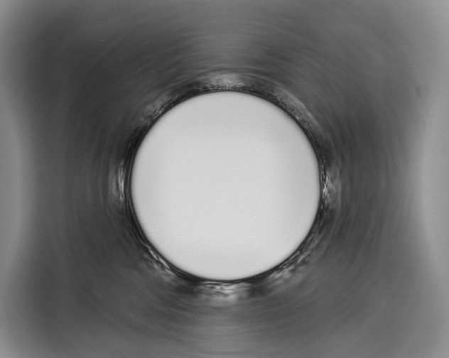 X0000115110330200911241332