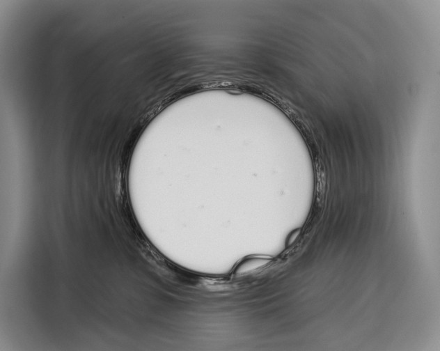 X0000115110331200911241332