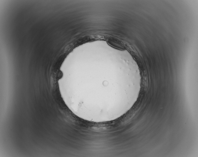 X0000115110332200911241332