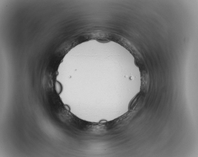 X0000115110333200911241332