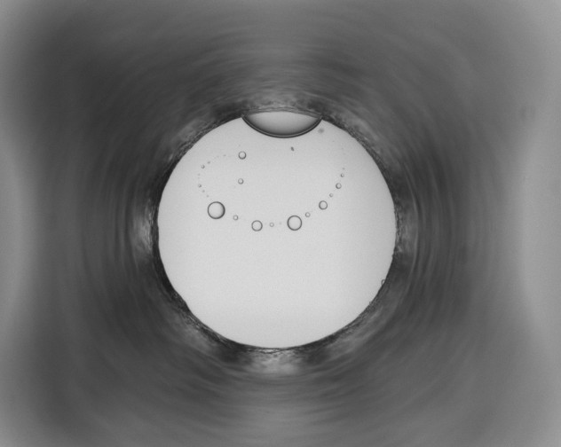 X0000115110334200911241332