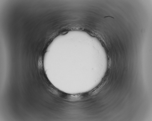 X0000115110335200911241332