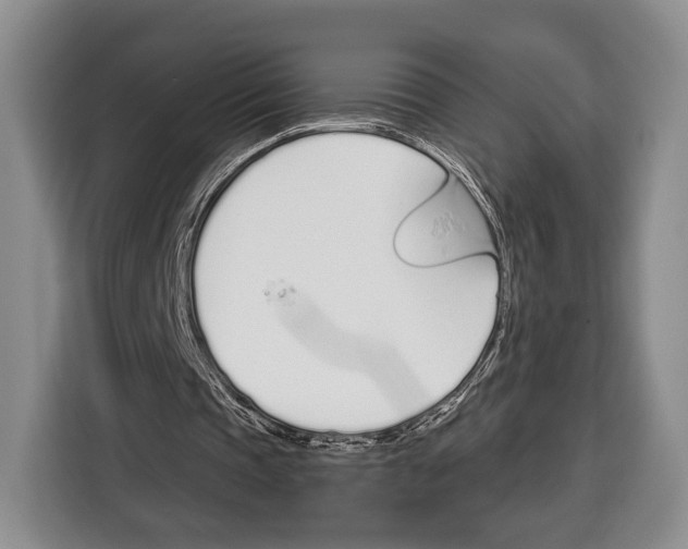 X0000115110337200911241331