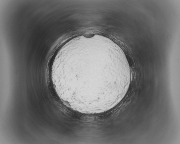 X0000115110339200911241331