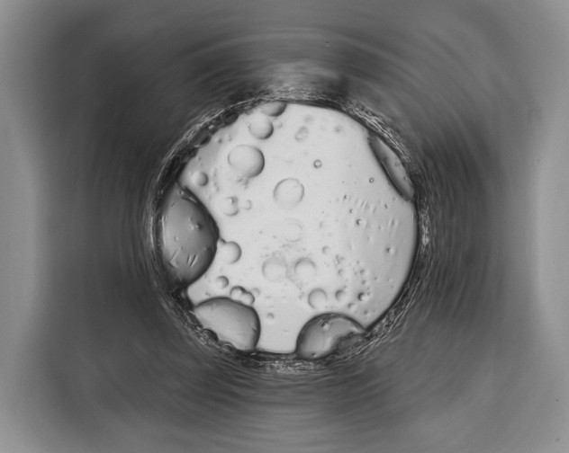 X0000115110347200911241332