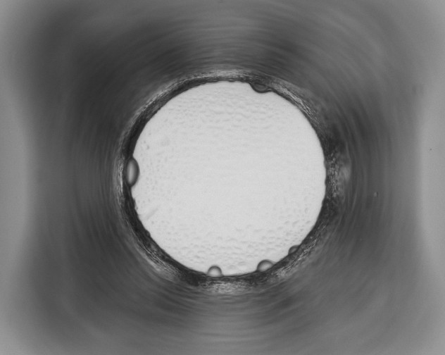 X0000115110350200911241332