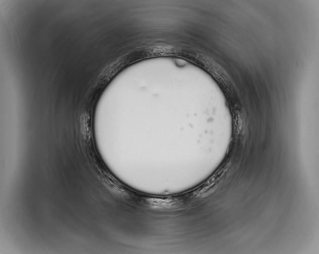 X0000115110361200911241332