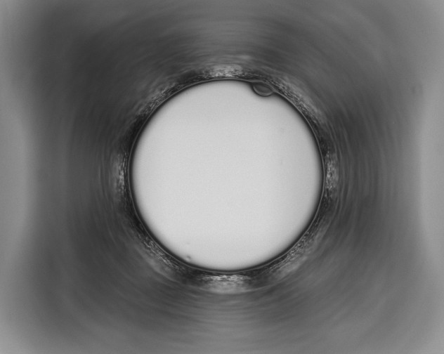 X0000115110363200911241332