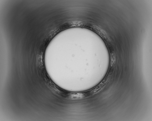 X0000115110369200911241332