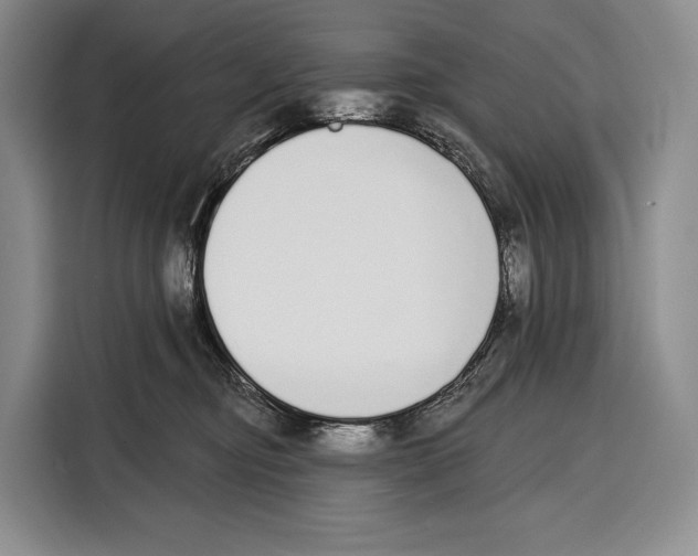 X0000115110374200911241332