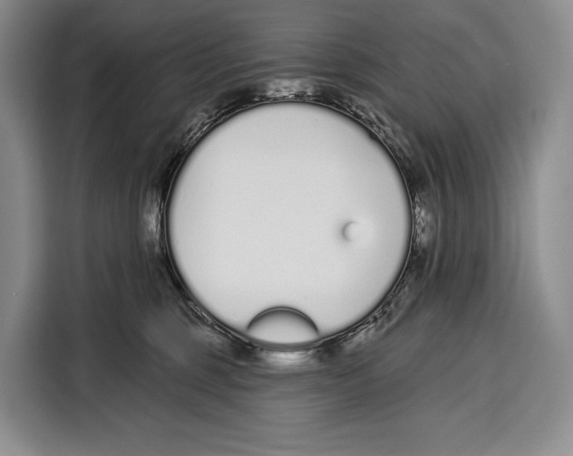 X0000115110375200911241332