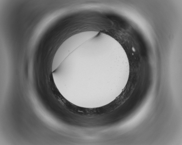 X0000115110382200911241332