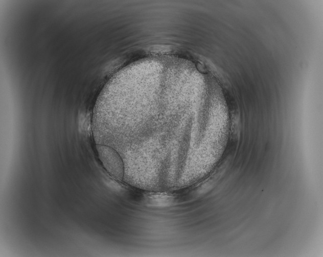 X0000115110383200911241332