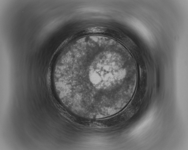 X0000115110387200911241331