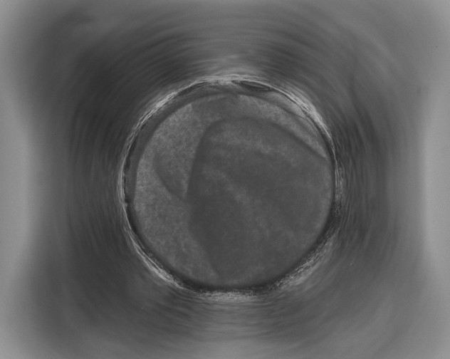 X0000115110389200911241331